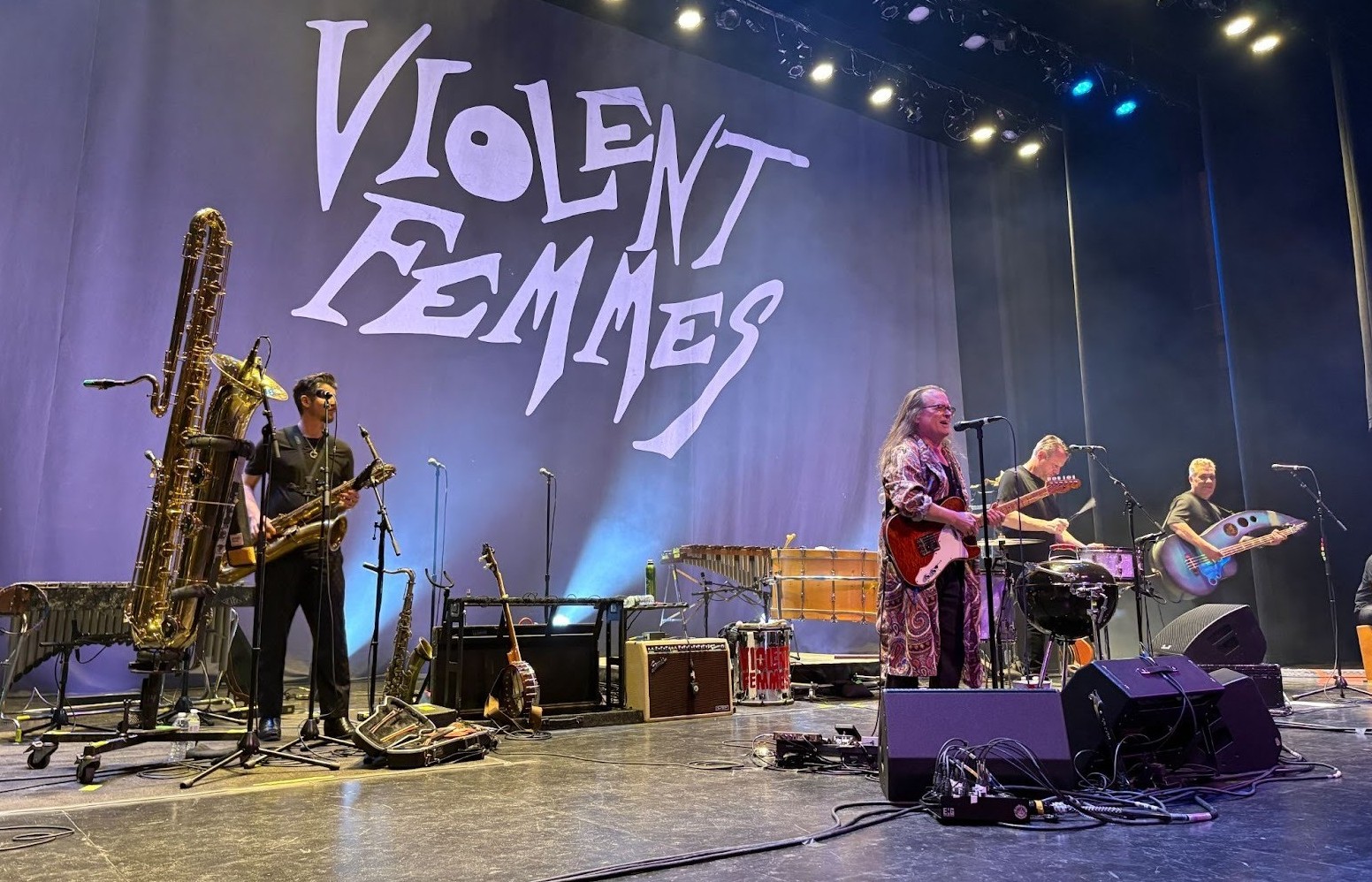 Crowd at a Violent Femmes show